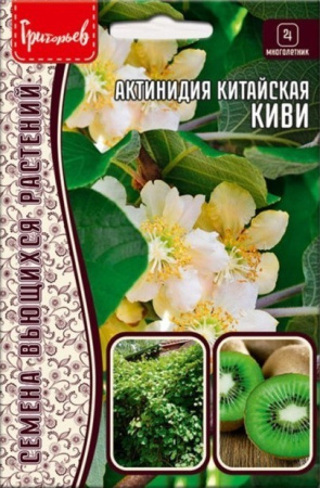 Актинидия Китайская Киви 30шт (Ред.Сем)