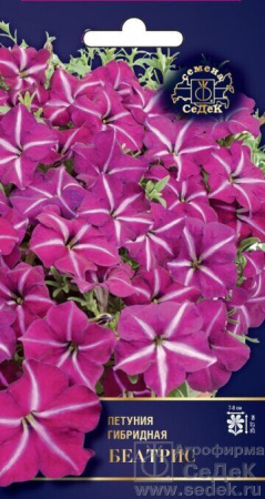 Петуния Беатрис F1 многоцветковая 5шт (Седек)