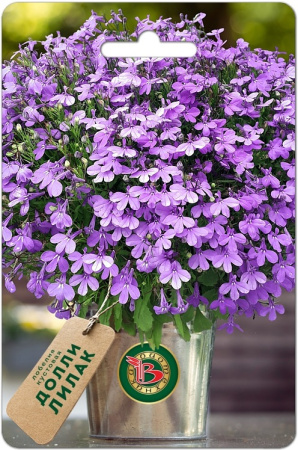Лобелия Долли Лилак кустовая однолетник 10др (Биотехника)
