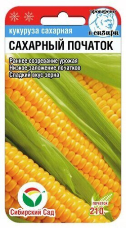 Кукуруза Сахарный початок 6шт (Сиб Сад)