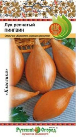 Лук репчатый Пингвин 1г (НК)