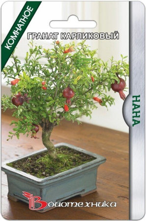 Гранат Нана карликовый 5шт (Биотехника)