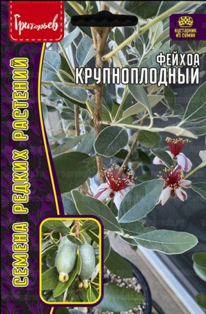 Фейхоа Крупноплодный 7шт (Ред.Сем)