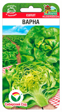 Салат Варна 20шт (Сиб Сад)