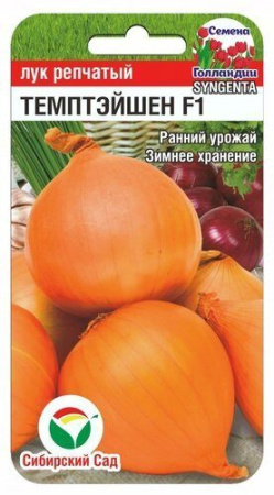 Лук репчатый Темптэйшен F1 100шт (Сиб Сад)