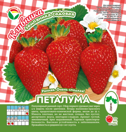 Клубника Петалума А 10шт/пучок (Сиб сад)