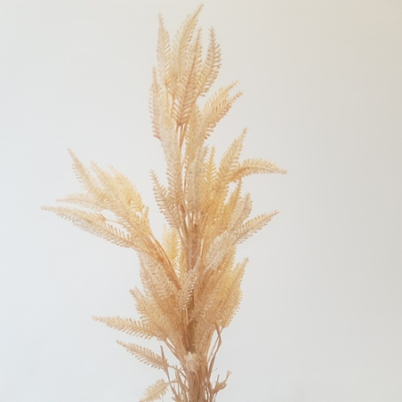 Сухоцвет ветка для декора бежевая 1шт (Сиб Сад)