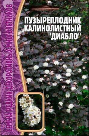 Пузыреплодник Диабло 15шт (Ред.сем)