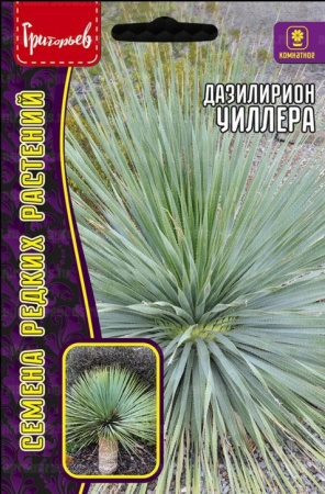 Дазилирион Уиллера 10шт (Ред.сем)