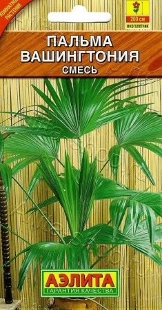Вашингтония Пальма робуста 2шт (Аэлита)