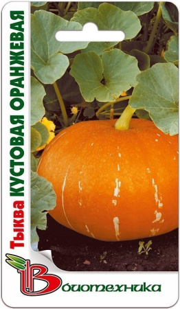 Тыква Кустовая оранжевая 6шт (Биотехника)