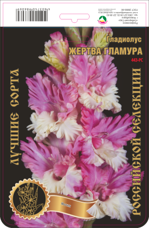 Гладиолус Жертва Гламура 463,Фотин Экстра 1шт (Ф)