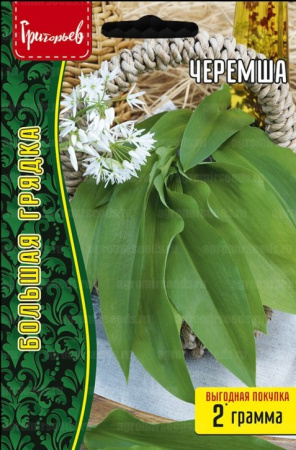 Лук Черемша Большая грядка 2г (Ред.Сем)