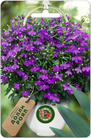 Лобелия Долли Роял кустовая однолетник 10шт (Биотехника)