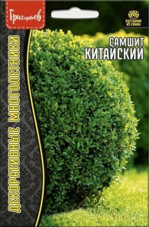 Самшит Китайский многолетник 10шт (Ред.Сем)