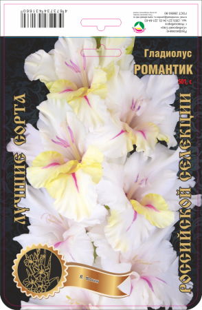 Гладиолус Романтик 501,Фотин Экстра 1шт (Ф)