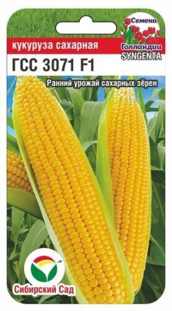 Кукуруза ГСС 3071 F1 6шт (Сиб Сад)